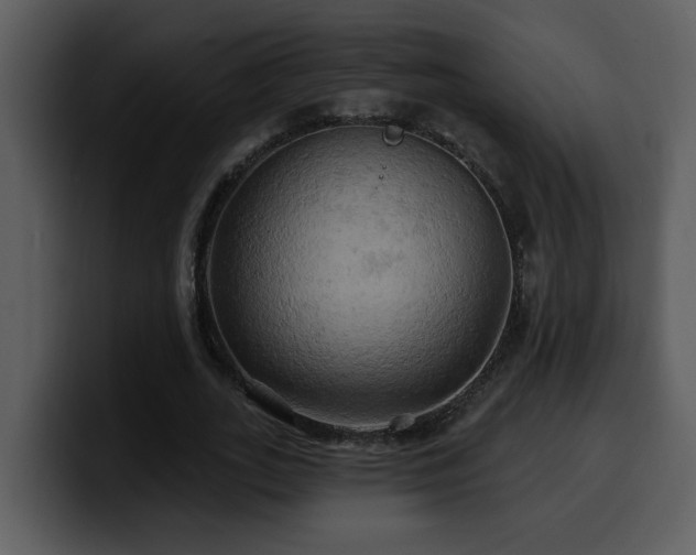 X0000100780727200806191302