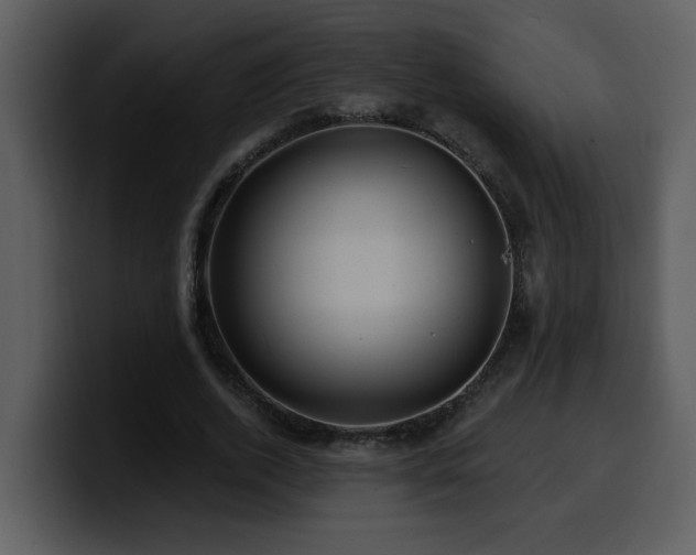 X0000100780728200806191302