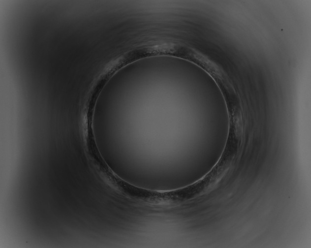 X0000100780729200806191302