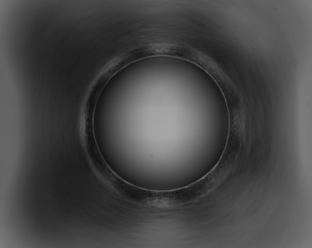 X0000100780730200806191302