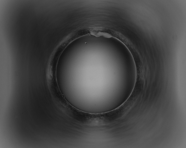 X0000100780731200806191302