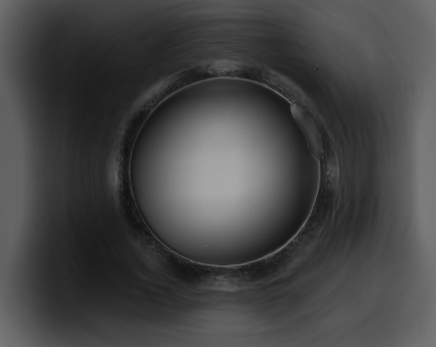 X0000100780732200806191302