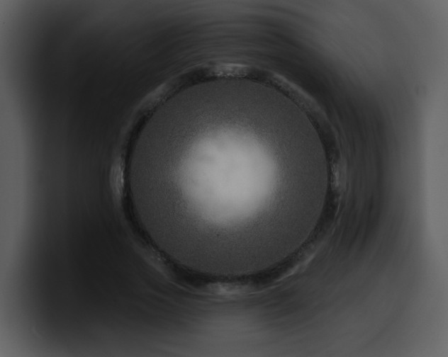 X0000100780733200806191302