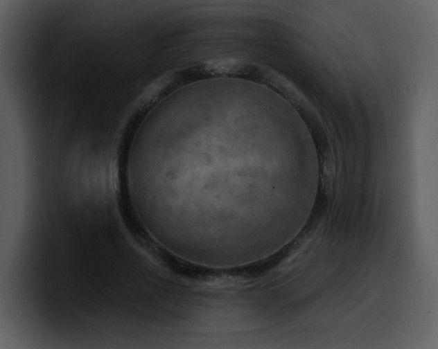 X0000100780734200806191302