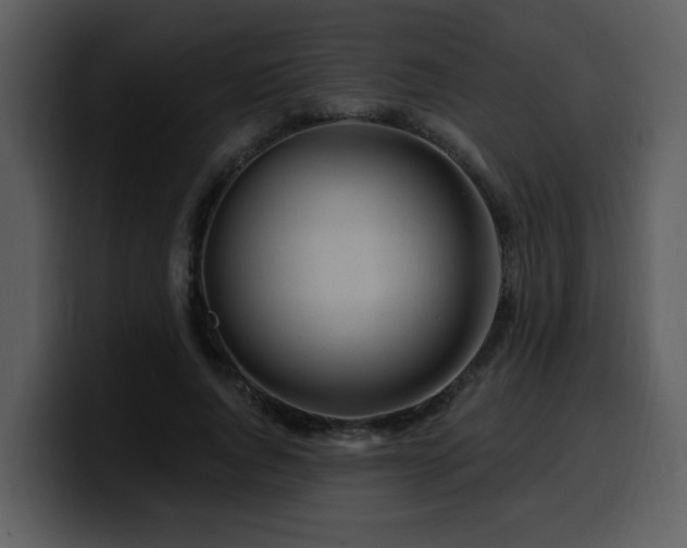 X0000100780736200806191302