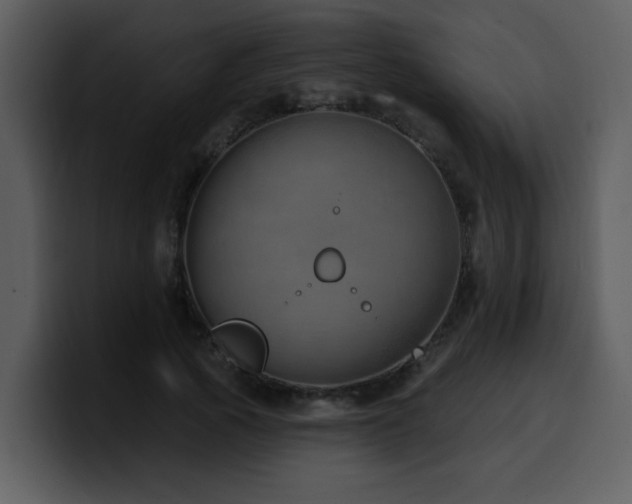 X0000100780737200806191302