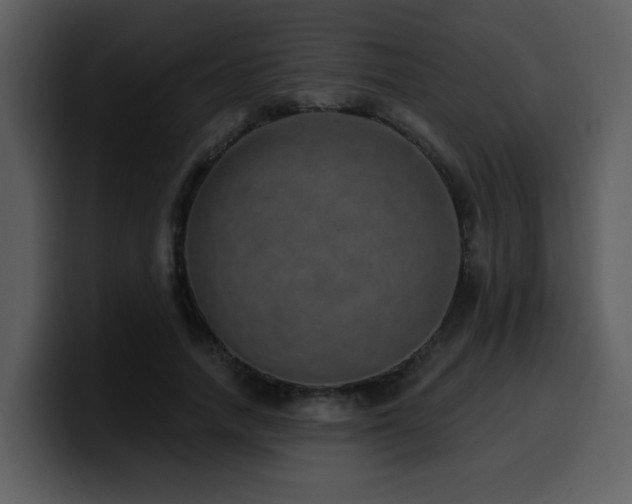 X0000100780738200806191302