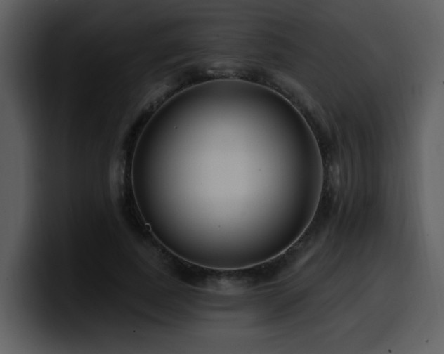 X0000100780739200806191302