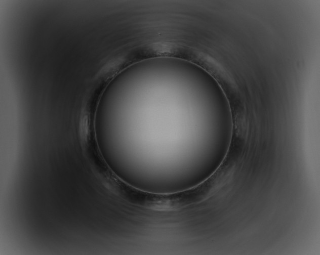 X0000100780740200806191302