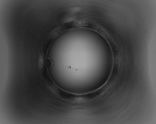 X0000100780741200806191302