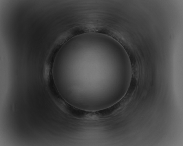 X0000100780742200806191302