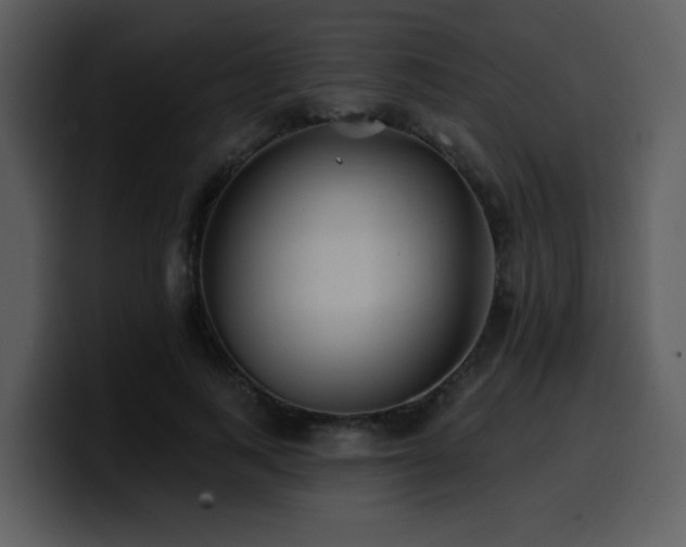 X0000100780743200806191302