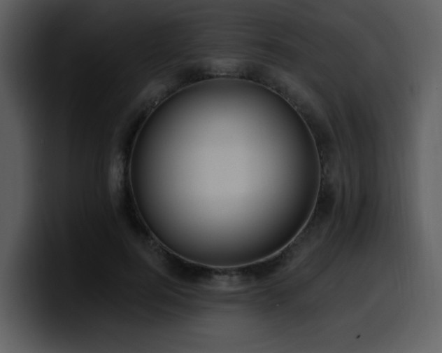 X0000100780744200806191302