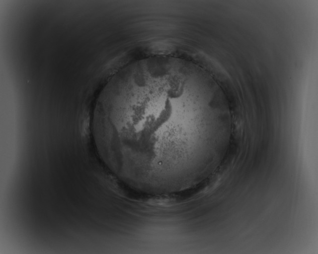 X0000100780745200806191302