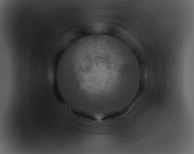 X0000100780746200806191302