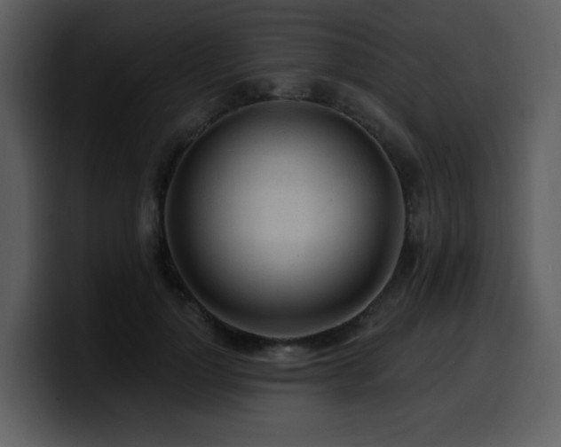 X0000100780748200806191302