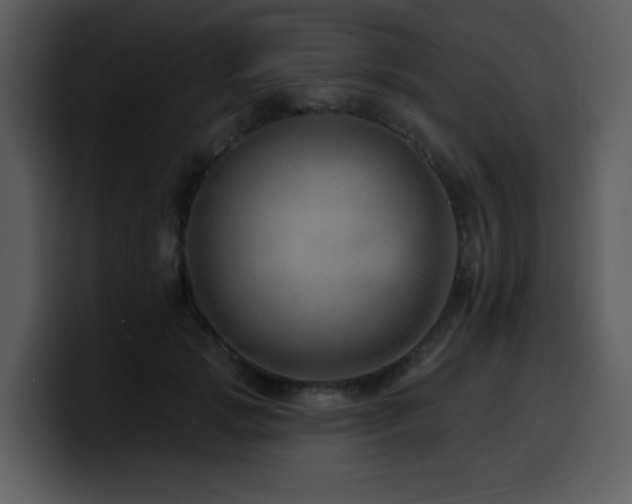 X0000100780749200806191302