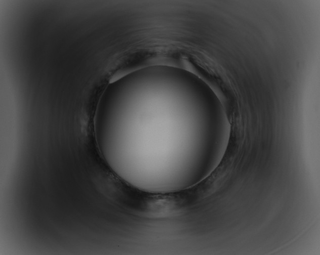 X0000100780750200806191302