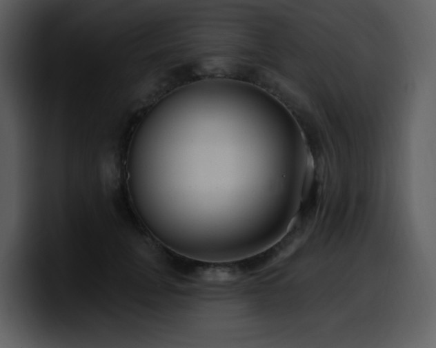 X0000100780751200806191302