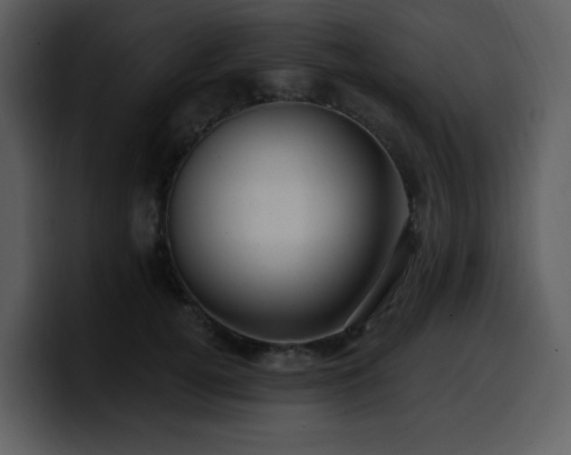 X0000100780752200806191302