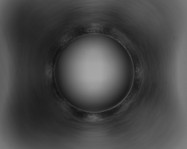 X0000100780753200806191302