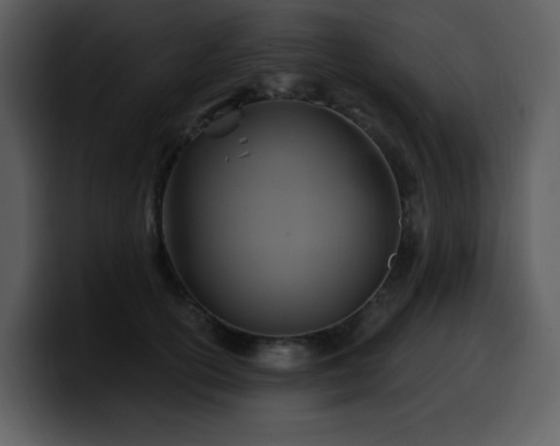 X0000100780754200806191302