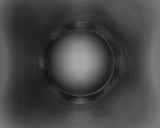 X0000100780755200806191302