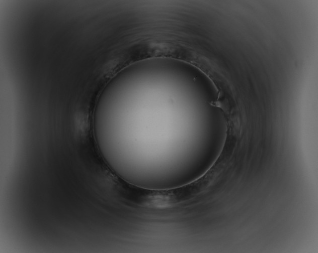 X0000100780756200806191302