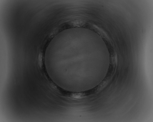 X0000100780757200806191302