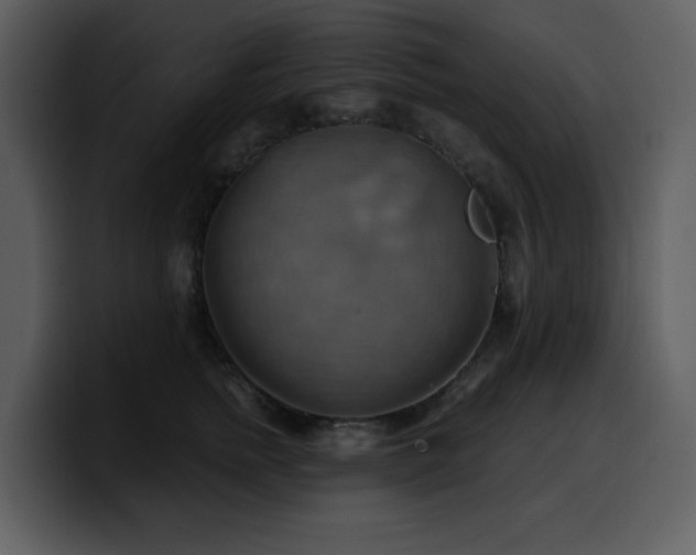 X0000100780758200806191302