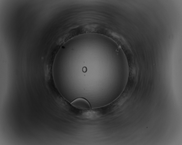 X0000100780759200806191302