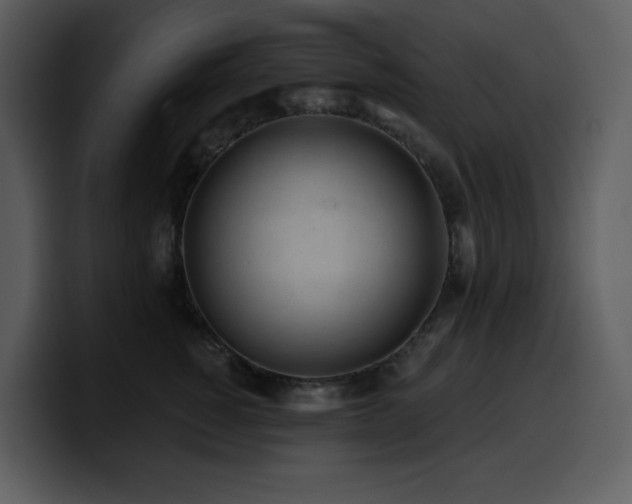 X0000100780760200806191302