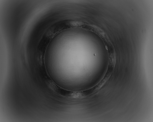 X0000100780762200806191302