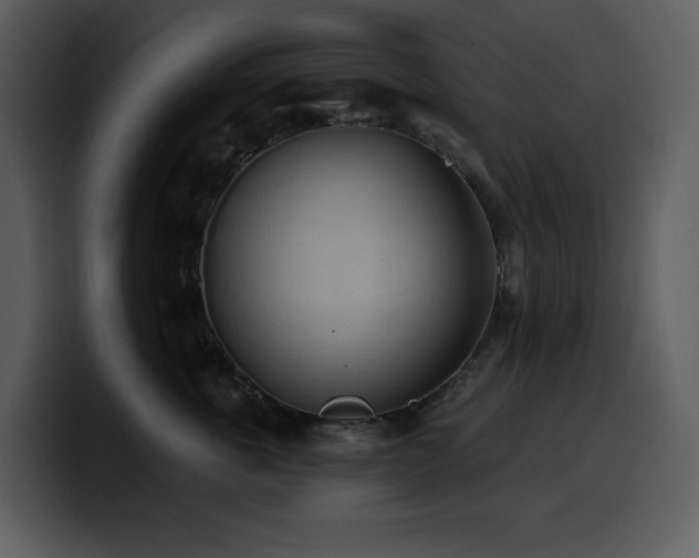 X0000100780763200806191302