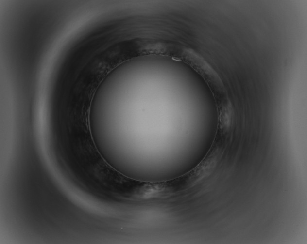 X0000100780764200806191302