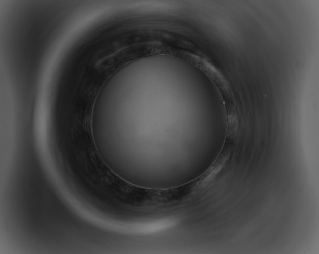 X0000100780765200806191302