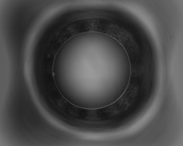 X0000100780766200806191302