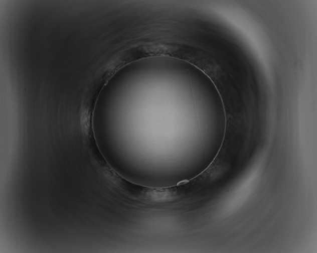 X0000100780767200806191302