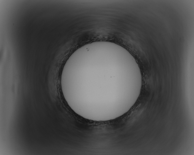 X0000100780769200806191302