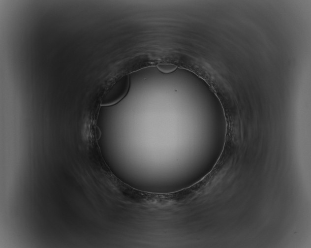 X0000100780770200806191302