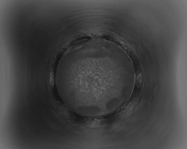 X0000100780772200806191302