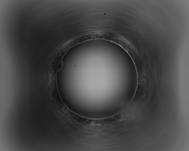 X0000100780773200806191302