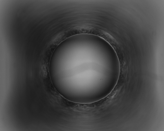 X0000100780774200806191302