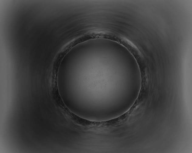 X0000100780775200806191302