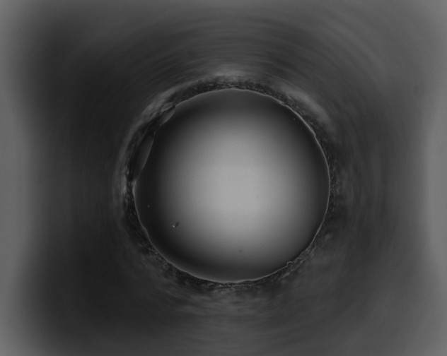 X0000100780776200806191302