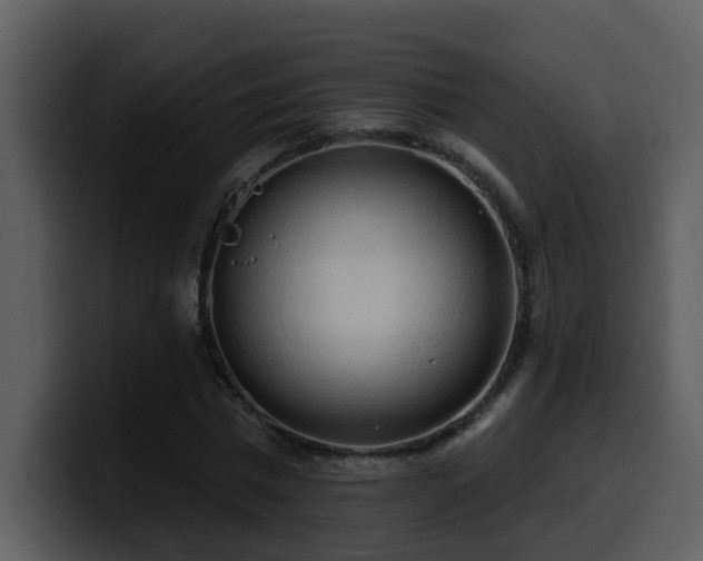 X0000100780777200806191302