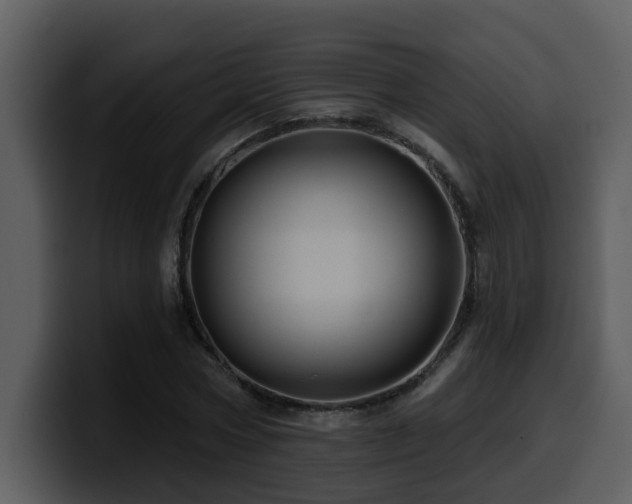 X0000100780778200806191302