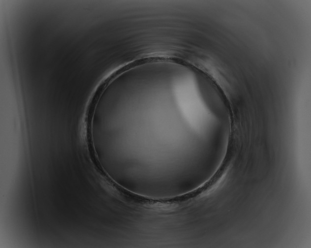 X0000100780779200806191302