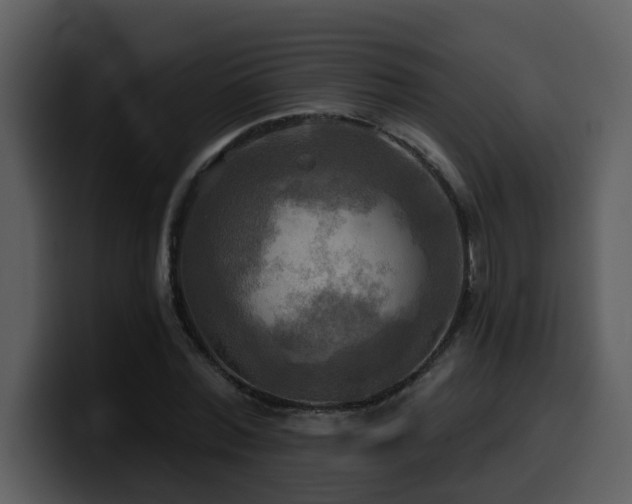 X0000100780780200806191302