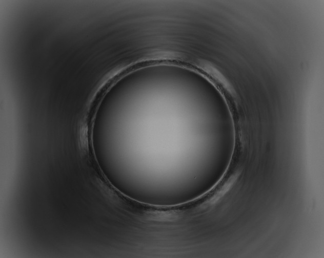 X0000100780781200806191302